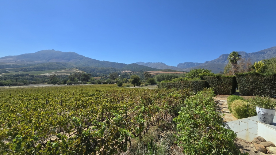 Commercial Property for Sale in Wellington Central Western Cape
